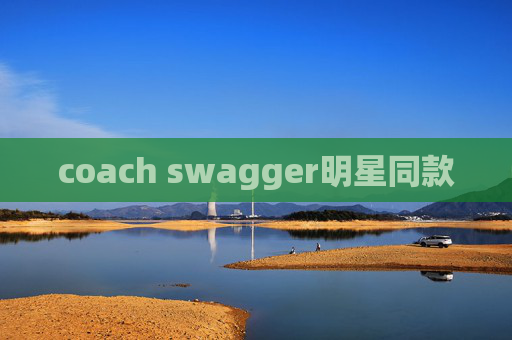 coach swagger明星同款